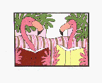 Educated Flamingos